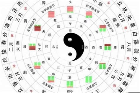 八字星宿|生辰八字算命、五行喜用神查询（免费测算）